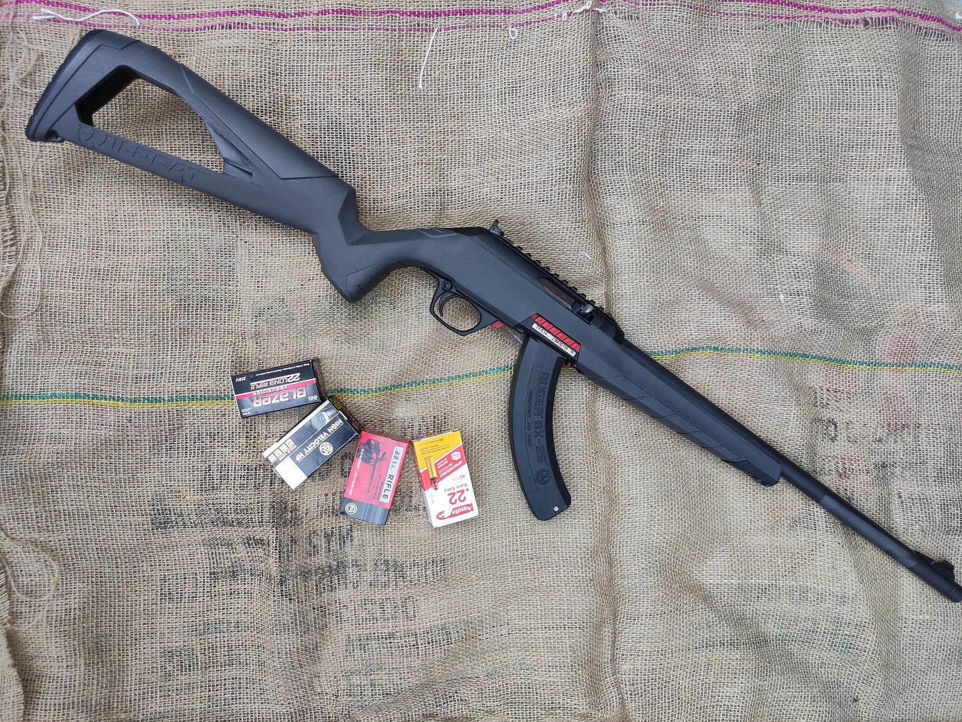 Mini tesztcikk: Winchester Wildcat .22 LR öntöltő puska
