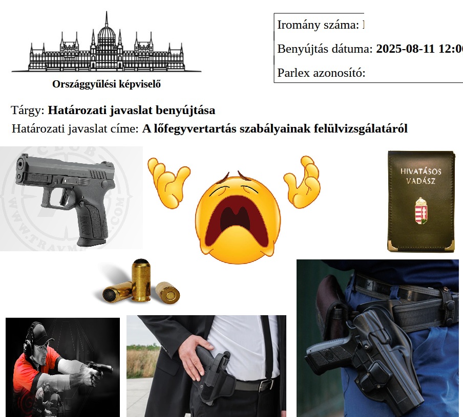 Véleménycikk – Határozati javaslat a fegyvertartásról